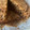 El cooksnap de Cristina Rivas cuando hizo Tarta carrot cake.