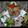 Cooksnap de isabel maloum sur la recette Salade quinoa/boulghour, courgette, fromage et myrtilles