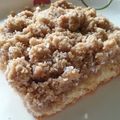 Pam (Pammie) ~ Livetoride ~♥'s cooksnap of when they made Martha Stewart's Crumb Cake.