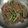 Cooksnap dari Mi untuk resep Tumis Buncis Daging Cincang