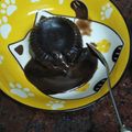 Cooksnap dari Meigui Hei untuk resep Choco Lava KUKUS. Mudah Murah tanpa DCC