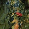 Cooksnap dari Ari Anggara Putra untuk resep Pepes ikan mas