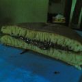 Cooksnap dari Ummu Bilal untuk resep Martabak mini simpel mudah cepat