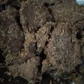 Cooksnap dari Novi Herawati untuk resep Dendeng ragi (serundeng sapi)