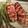 cindy.hamilton.18488's cooksnap of when they made Bacon Chicken Rollup.