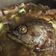 Cooksnap Nuraliyah Mn semasa beliau membuat Ikan Tenggiri Masak Tauchu.