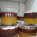 Cooksnap dari santi untuk resep Puding Coklat Mangga