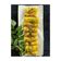 Kajal Solanki's cooksnap of when they made ચીઝ સ્ટફ ખાંડવી (Cheese Stuffed Khandvi Recipe In Gujarati).