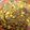 Zainab Khan's cooksnap of when they made Aloo Methi.