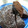 El cooksnap de Valentina cuando hizo Torta de chocolate en microondas muy fácil y versátil.