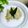 Cooksnap dari Rhee untuk resep Bubur SINGKONG