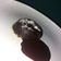 Cooksnap dari Ulil Wina untuk resep Chocolatos Lava Cake