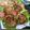Asma Waheed's cooksnap of when they made Tori K Chilkon K Kabab.