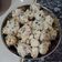 Cooksnap dari Aidea Smile untuk resep Bakso Lohoa Ayam