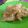 Cooksnap dari Mulik Wulan untuk resep Ayam Crispy Home Made