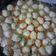 Cooksnap dari Rosita Firmansyah untuk resep Cilok goang pedas