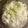 Darla Jylpig Ren 的 高麗菜肉末粥 cooksnap