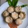 Cooksnap dari Dwi W untuk resep Pare Kukus isi Bakso Ayam