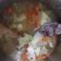 Cooksnap dari Dyah Isnaini Puspitasari untuk resep Sayur Sop Bakso Kuah Bening