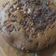 Cooksnap dari Maya Chismato untuk resep Bolu pisang cokelat
