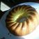 El cooksnap de AndrEliza Cervello cuando hizo Budin húmedo de naranja.