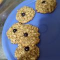 El cooksnap de Norma Arce cuando hizo Galletitas de arándanos y avena 🫐 "pseudo Pepas".