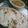 Roshni shah's cooksnap of when they made Rajma curry.