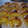 El cooksnap de Lorena Esperon cuando hizo Medialunas de Manteca con Empaste.