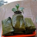 Cooksnap dari Yenn Yenn untuk resep Lambang Sari Lembut....anti gagal
