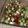 El cooksnap de Maricarmen Meza cuando hizo Chayote con cilantro y queso panela.