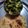 roli sinha 's cooksnap of when they made Aloo methi.
