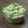 Cooksnap de Marina quando cozinhou Guacamole.