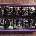 Cooksnap dari Mama Aldafa untuk resep Bolu kukus santan aroma pandan-cokelat