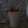 El cooksnap de Camilo Ortega cuando hizo Crema chantilly con frutilla 🍧🍓.