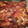El cooksnap de Marcelo Altamirano cuando hizo Lechón al horno.