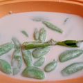 Cooksnap dari Dayyu Okt untuk resep Doko-Doko khas Pontianak