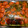 El cooksnap de Nelly Fabeiro cuando hizo Tomates Cherry confitado !!!!.