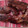 El cooksnap de Carlos Chavez cuando hizo Costillas a la BBQ.
