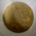 chun手作料理食堂 的 法式洋蔥湯 cooksnap