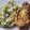 Tuty1975's cooksnap of when they made Espagueti Verde- Green Spaghetti.