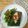 Cooksnap dari Dapoer Aye (Ani) untuk resep Tutug Oncom