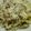 Cooksnap dari Hanifah Rianty untuk resep Fusili Carbonara