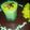 farzis banu's cooksnap of when they made பாய் வீட்டு கல்யாண ஃபிர்னி(phirni).