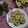 Cooksnap dari @.dapoer treefa untuk resep Kue Lumpur Pisang