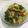 Cooksnap dari Wiedya Surya Pradani untuk resep Tumis Pokcoy Tahu Saus Tiram