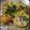 Mansi Patel's cooksnap of when they made છોલે ટીક્કી ચાટ (Chhole Tikki Chaat Recipe In Gujarati).