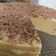 El cooksnap de laura cuando hizo Tarta de obleas de Carlsbad.