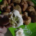 Cooksnap dari maghfira - untuk resep Brokoli krispy