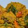 Cooksnap dari Veteran Afghan untuk resep Ikan nila Pesmol bumbu kuning