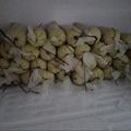 Cooksnap dari Atha Ratu untuk resep Es Lilin Alpukat